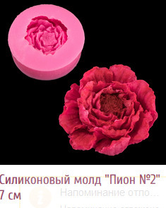 Молд пион №2